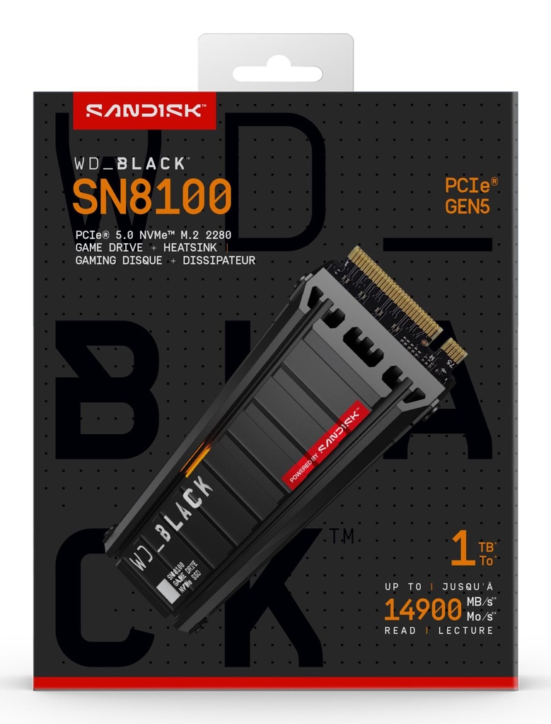 WDS100T1XHM-00CMT0 5