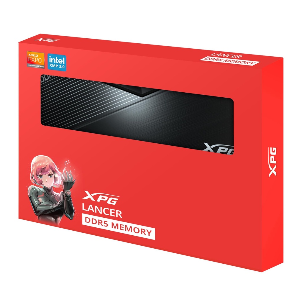 AX5U6000C4816G-DTLABBK 8