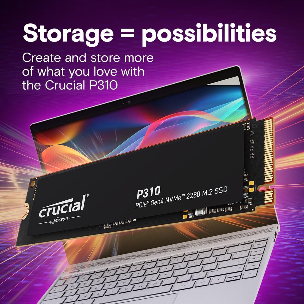 CT4000P310SSD8 6
