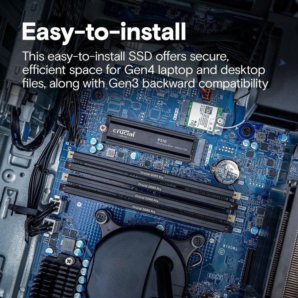 CT2000P310SSD5 5