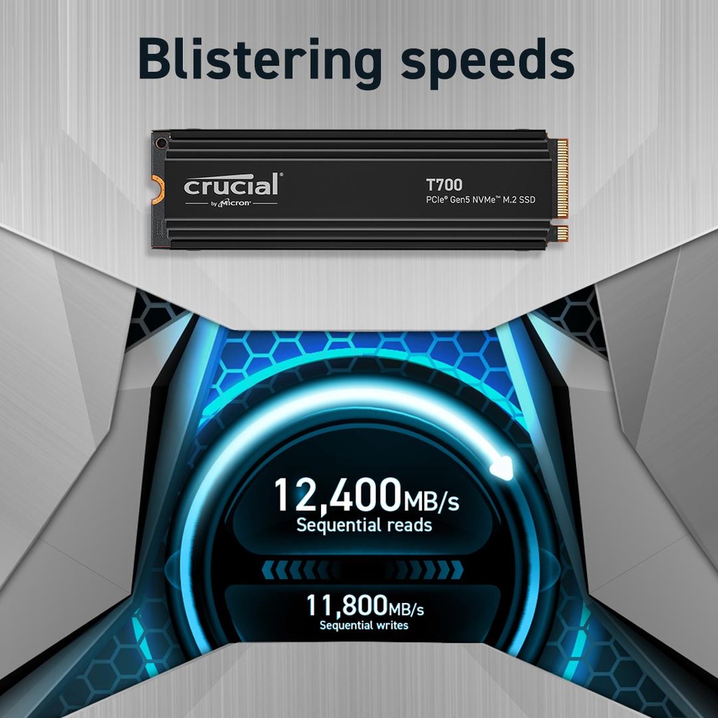 CT4000T700SSD5 5