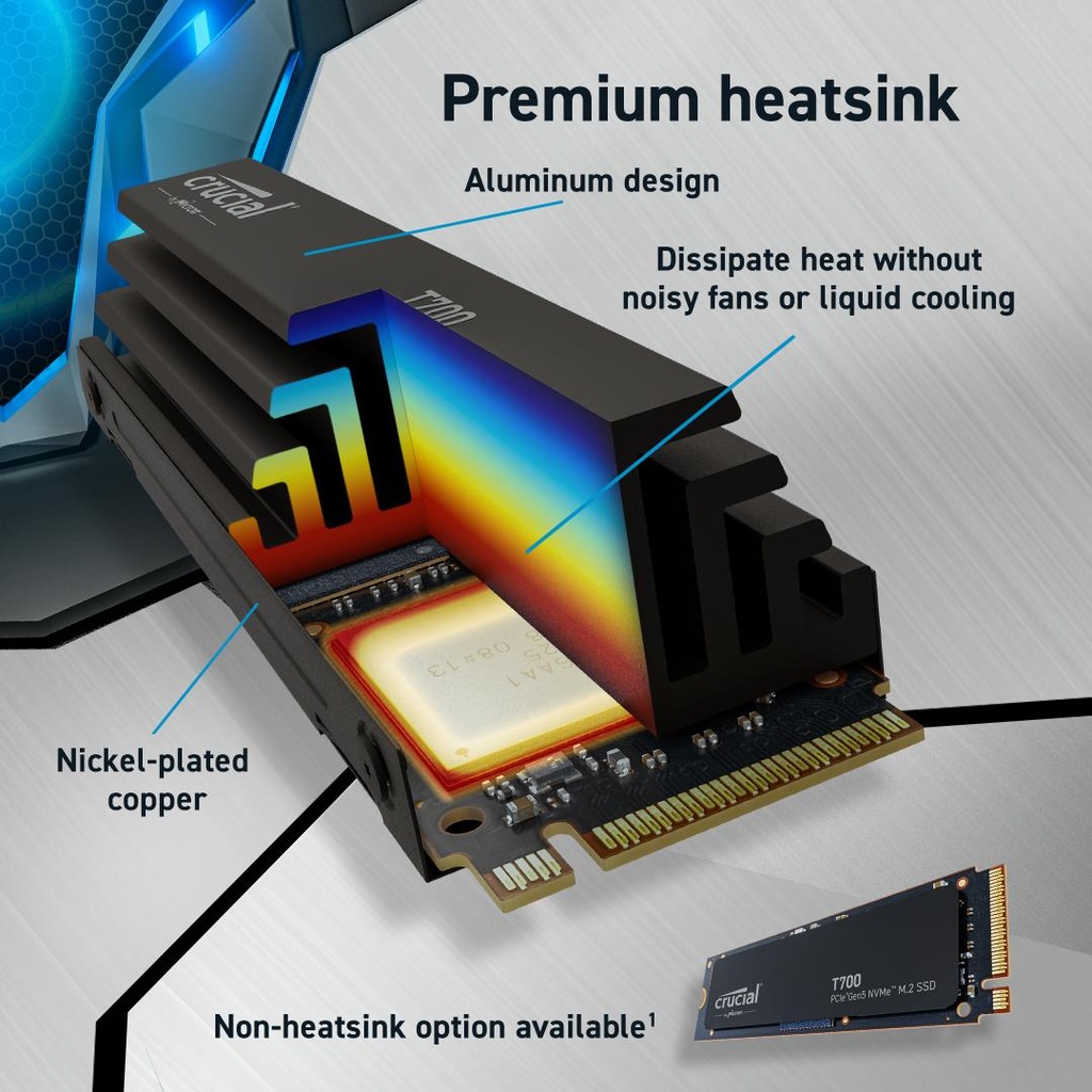 CT4000T700SSD5 6