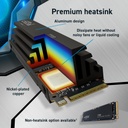 CT4000T700SSD5 6