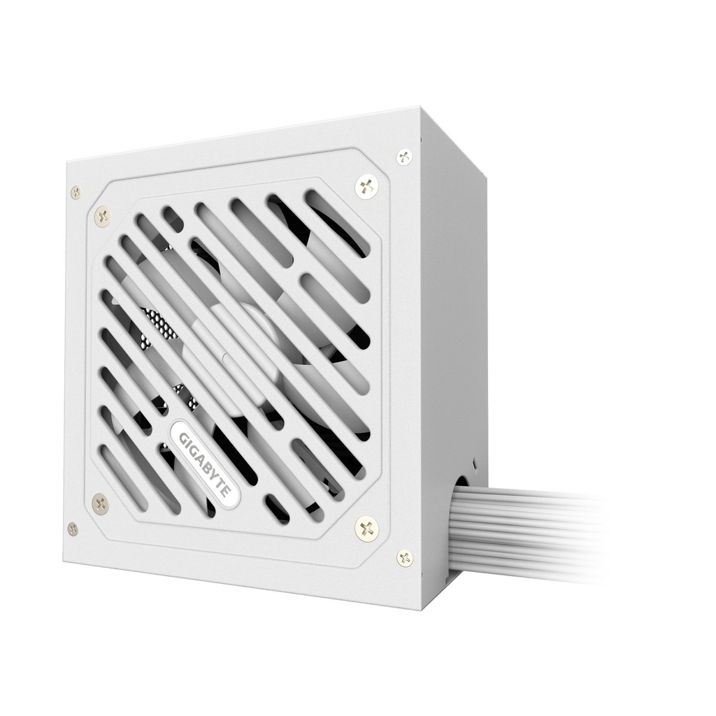 GP-P650SS ICE 2