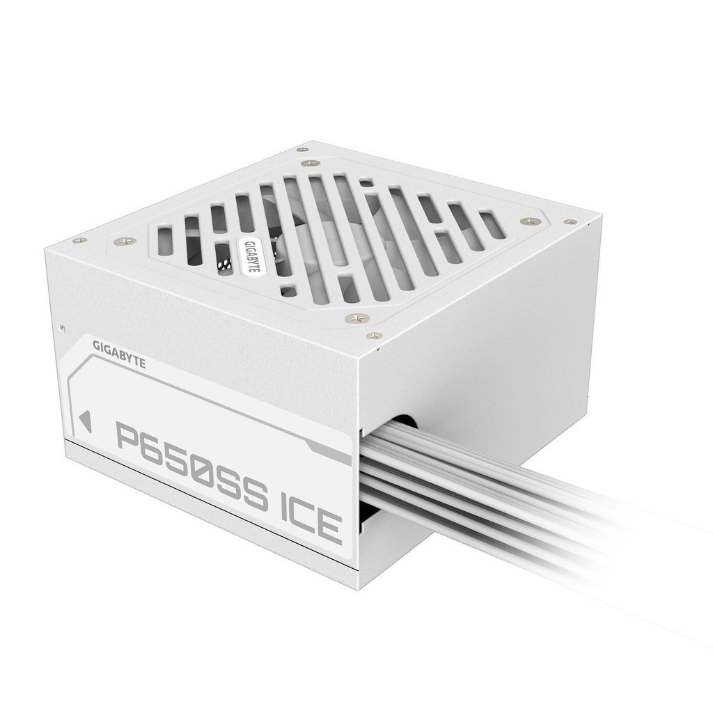 GP-P650SS ICE 4