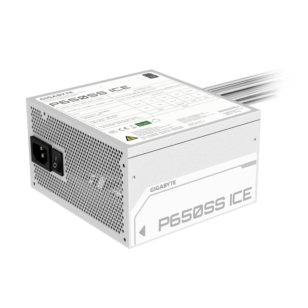 GP-P650SS ICE 5