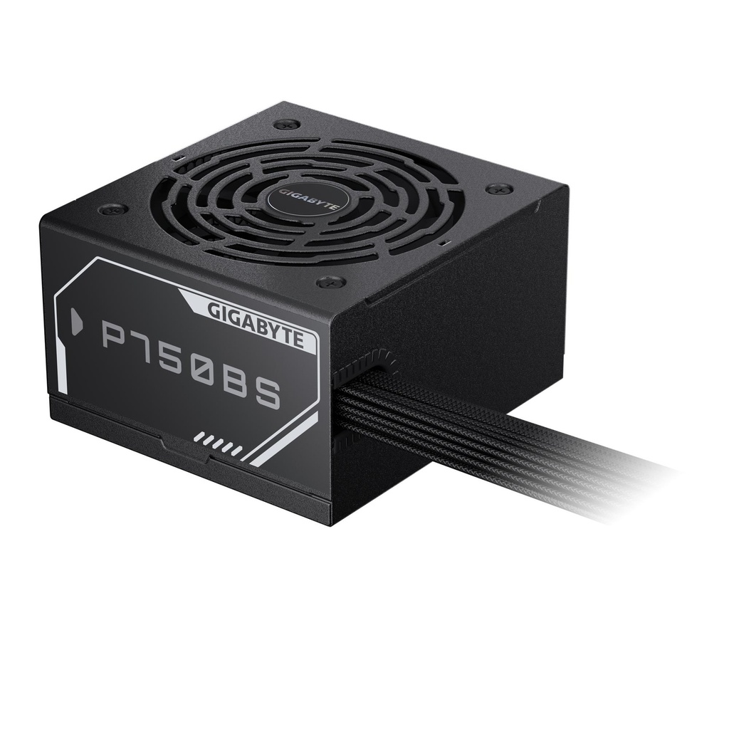 GP-P750BS 5