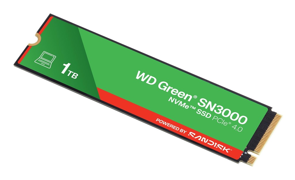 WDS100T4G0E 3