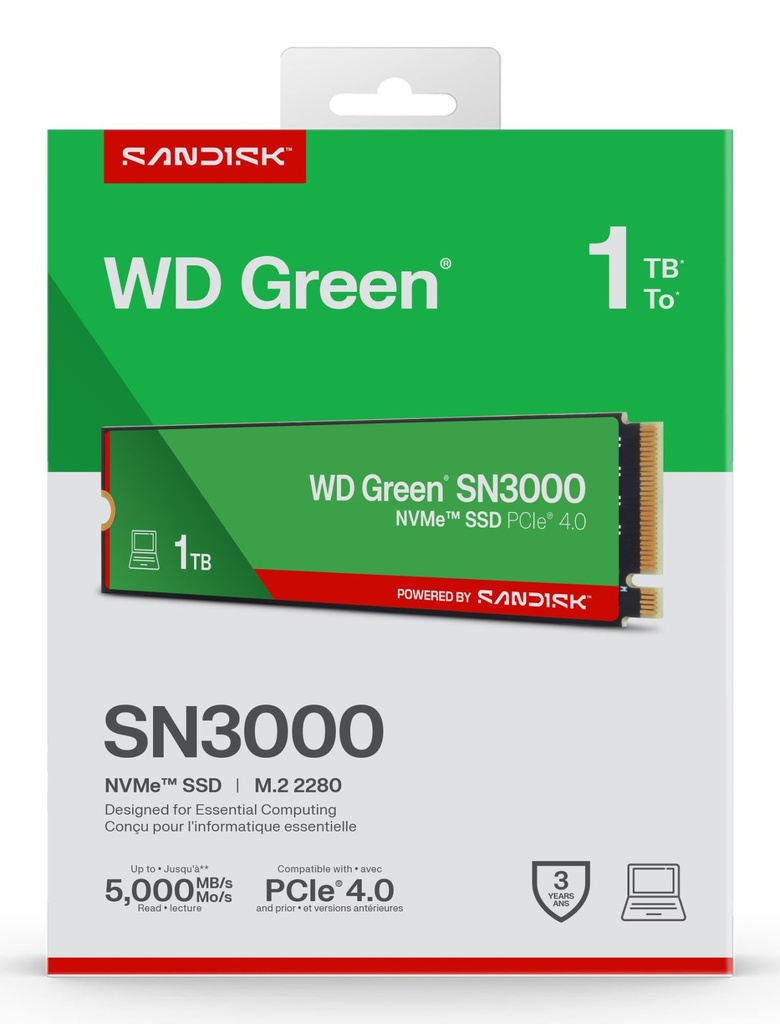 WDS100T4G0E 4