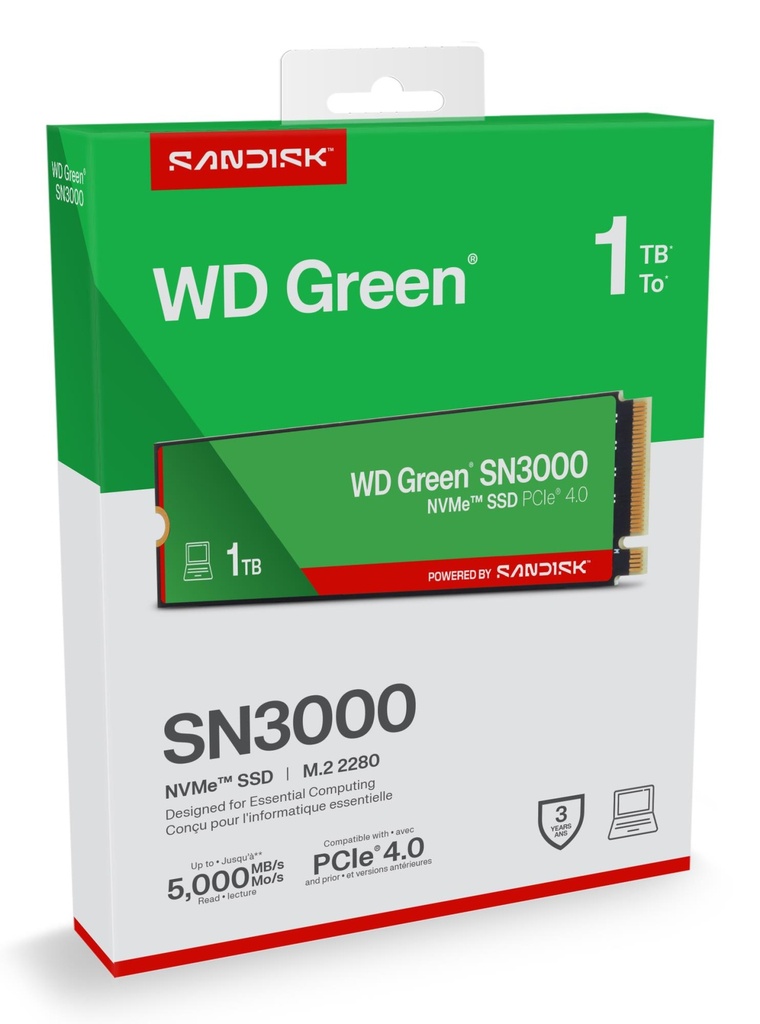 WDS100T4G0E 5