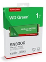 WDS100T4G0E 5