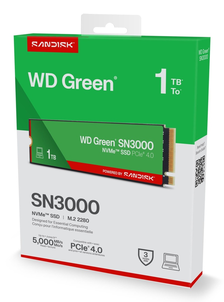 WDS100T4G0E 6