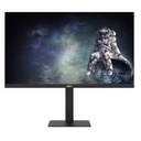 DAHUA 24.5 " 1920 x 1080 pixels Full HD Native aspect ratio 16:9 LCD DHI-LM25-E241A