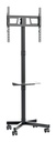 TV SET ACC FLOOR STAND 32-55"/TVS-55T-03 GEMBIRD