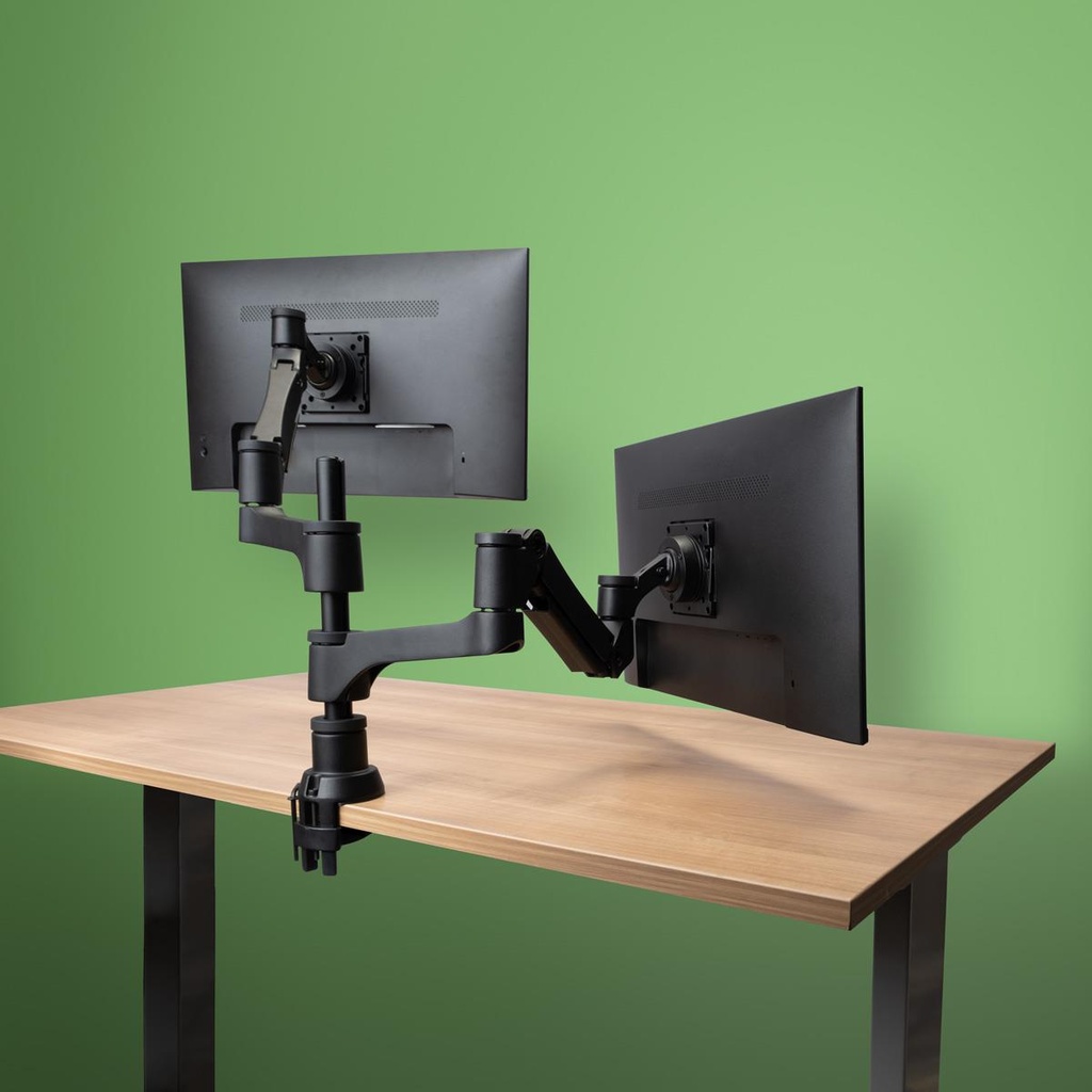 MONITOR ACC ARM CAPARO DUAL/RGOVLCA4TWSI R-GO TOOLS