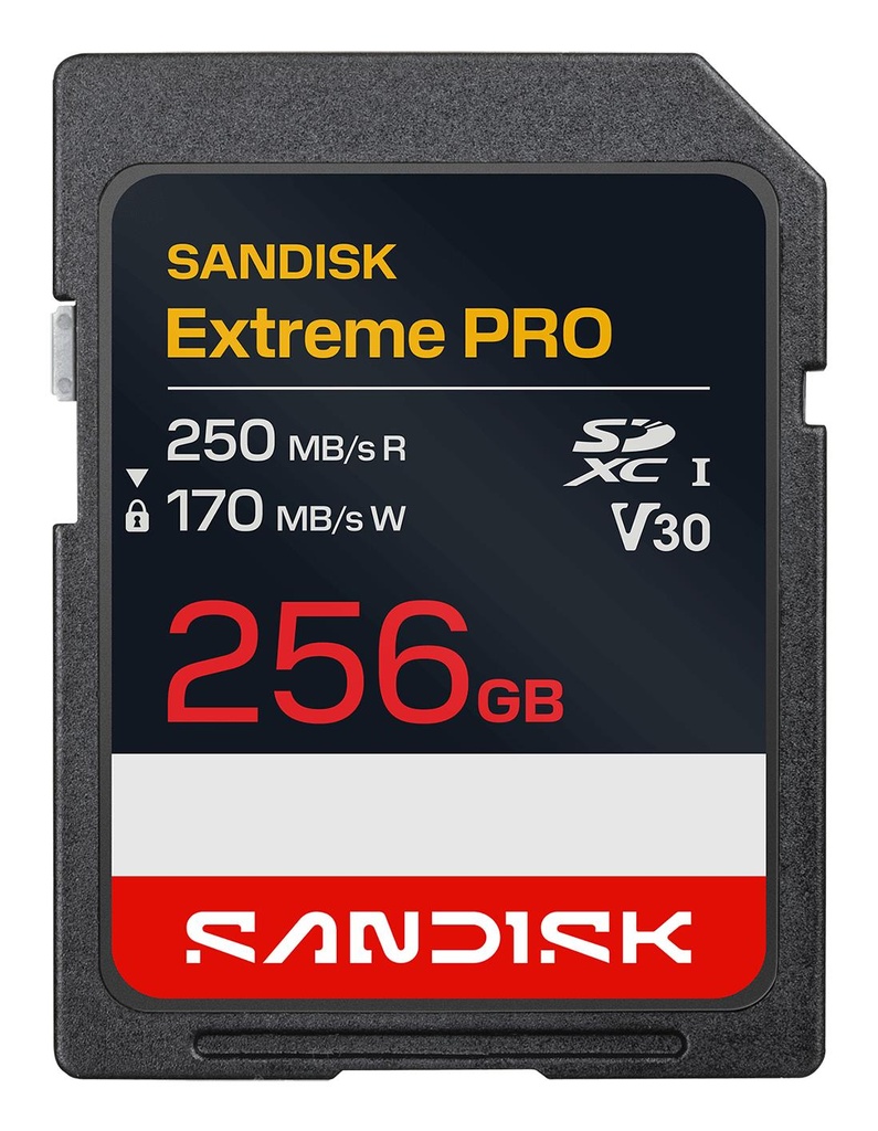 MEMORY SDXC 256GB UHS-1/SDSDXXJ-256G-GSCIN SANDISK