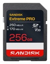 MEMORY SDXC 256GB UHS-1/SDSDXXJ-256G-GSCIN SANDISK