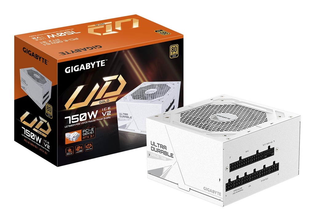 GIGABYTE UD750GM PG5 ICE ATX 3.1 750 Watts Efficiency 80 PLUS GOLD PFC Active MTBF 100000 hours GP-UD750GMPG5ICE