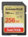 MEMORY SDXC 256GB UHS-1/SDSDXWV-256G-GNCIN SANDISK
