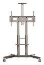 TV SET ACC MOBILE STAND/32-75"/CHAMPAGNE TS1571-C ONKRON