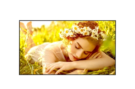 [75UL5Q-M] DISPLAY LCD 75" 4K/75UL5Q-M LG