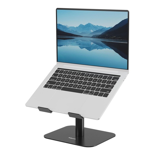 [100138881] NB ACC DESK STAND/BLACK 100138881 FELLOWES