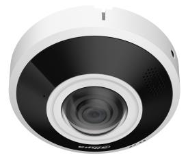 [IPC-EBW5641-AS] NET CAMERA 6MP FISHEYE DOME/IPC-EBW5641-AS DAHUA