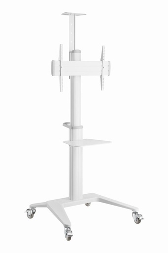 [TVS-70T-02-W] TV SET ACC FLOOR STAND 37-70"/WHITE TVS-70T-02-W GEMBIRD