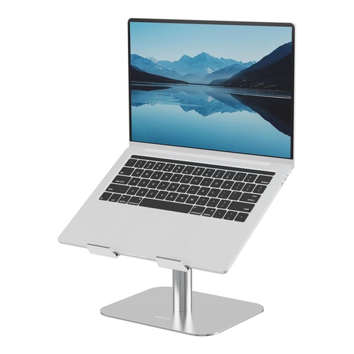 [100138880] NB ACC DESK STAND/SILVER 100138880 FELLOWES