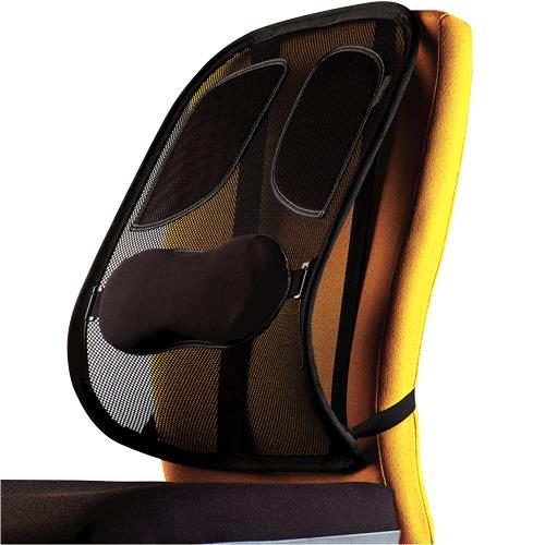 [8029901] CHAIR MESH BACK SUPPORT/PROFESSIONAL 8029901 FELLOWES