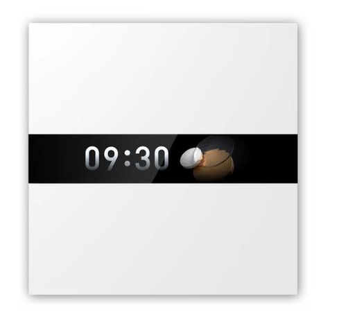 [WS-K02D] SMART HOME DISPLAY SWITCH V1/WS-K02D AQARA